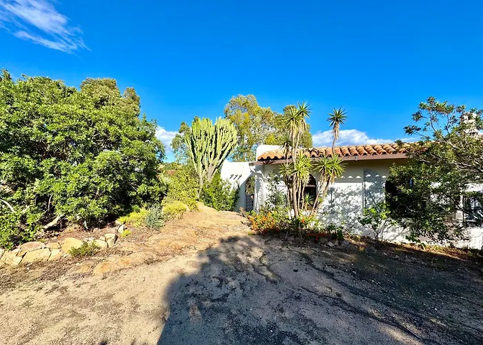 Paola With Swimming Pool * Domus De Maria